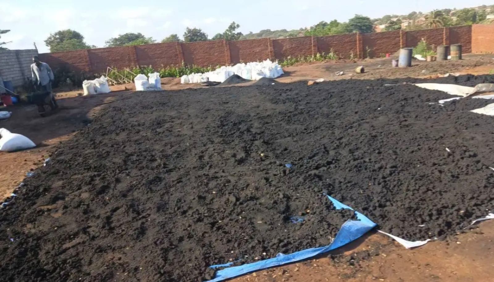 Biochar 1