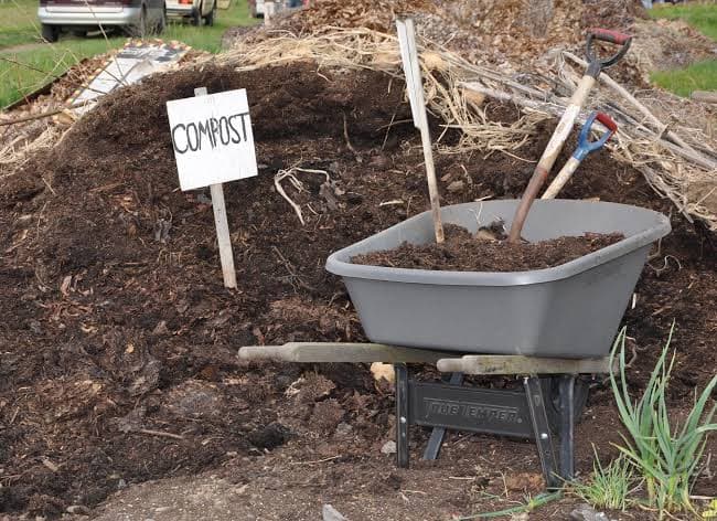 Compost Manure 1
