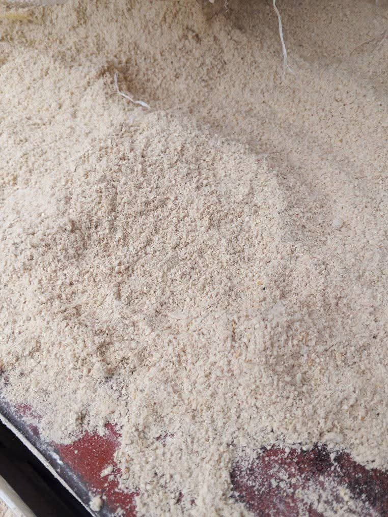Fermented Maize Germ 1
