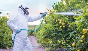 Fungicides 1