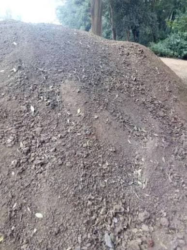 Goat Manure 1