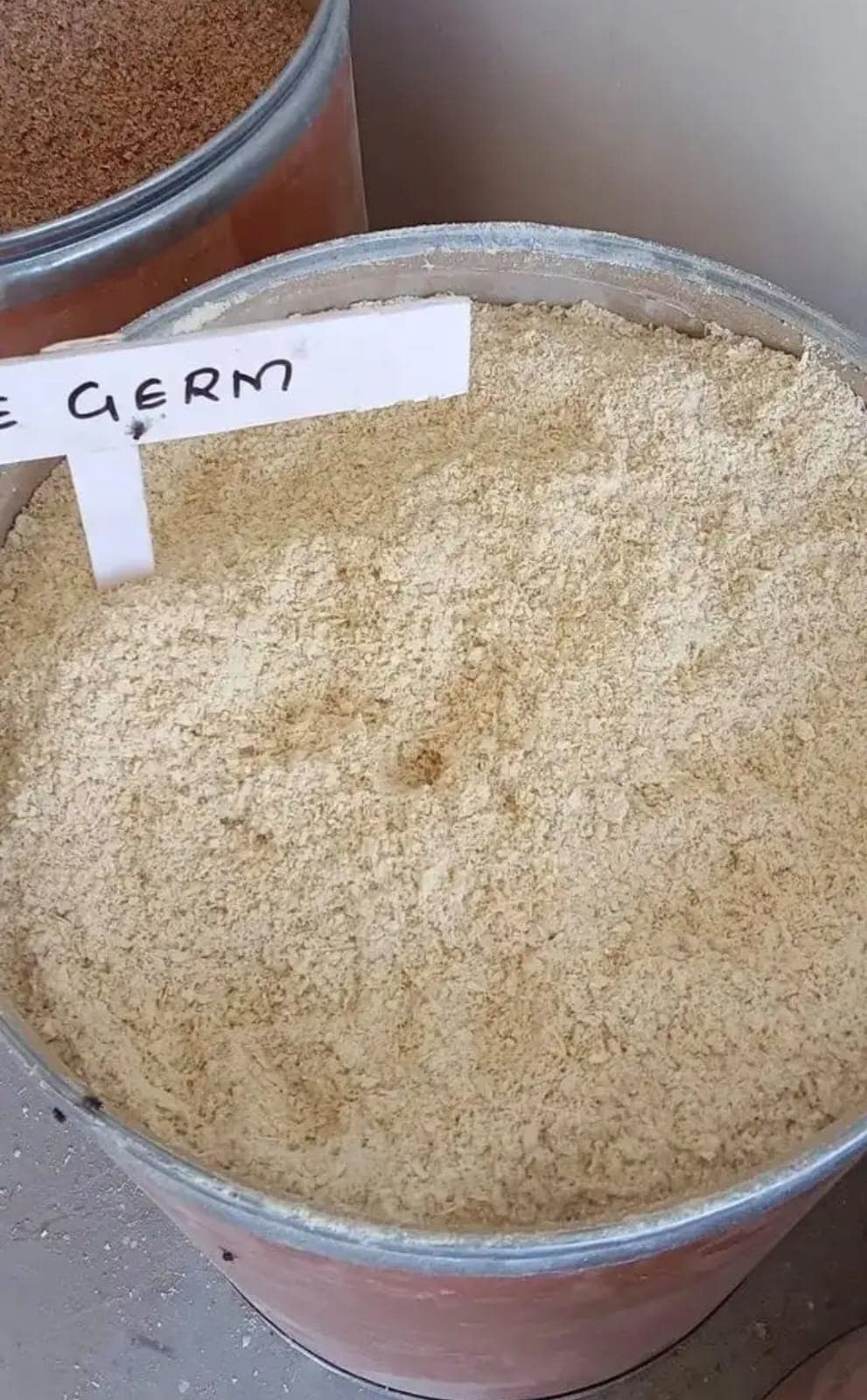 Maize Germ 1