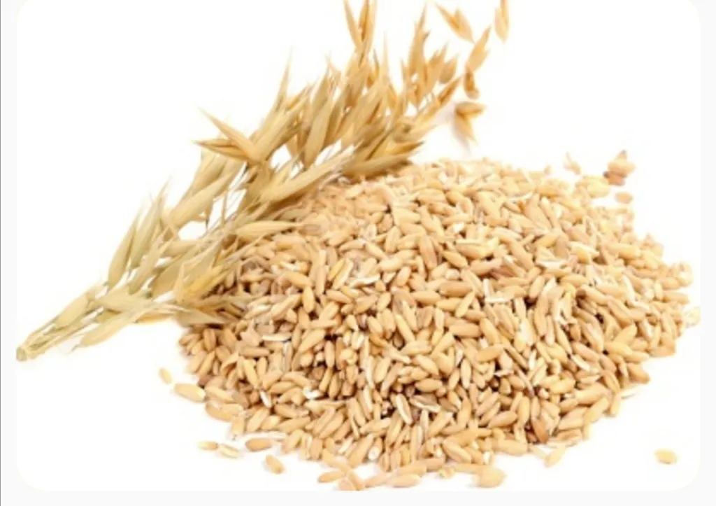 Oats 1
