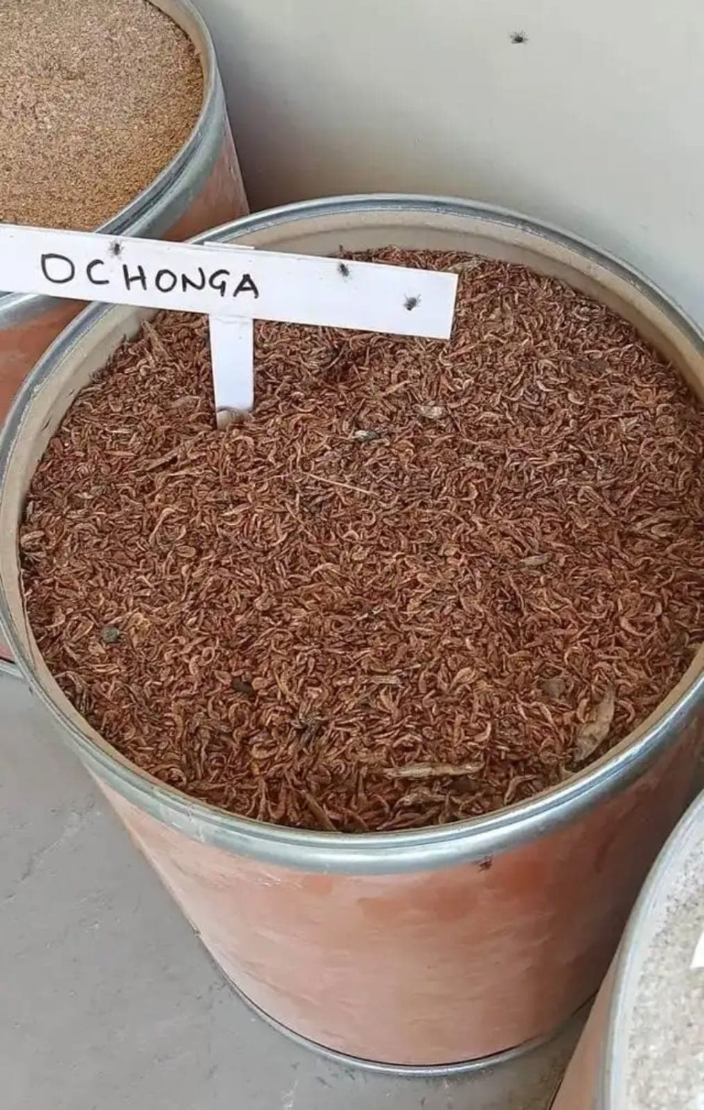 Ochonga
