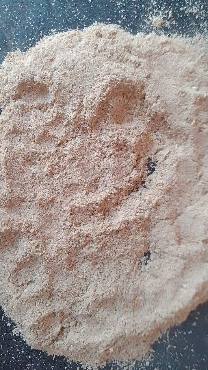 Rice Germ 1