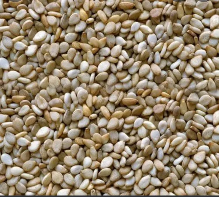 Sesame Seeds / Simsim 1