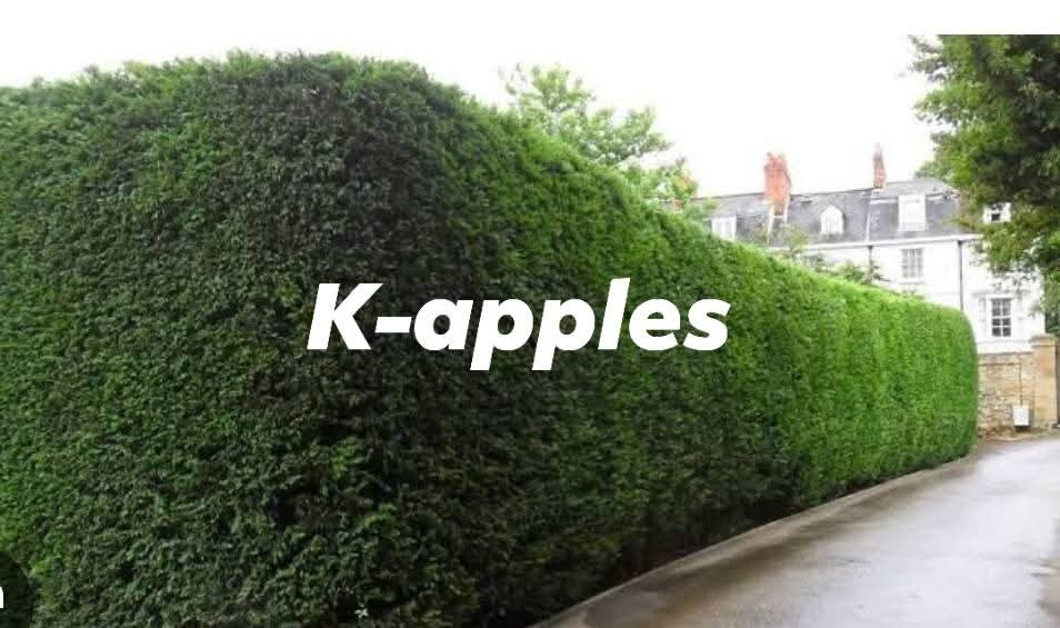 Kei Apple Fence