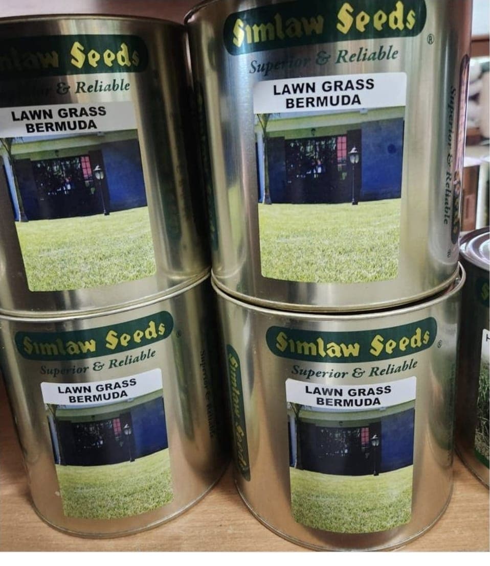 Bermuda Grass Seeds (Tin)