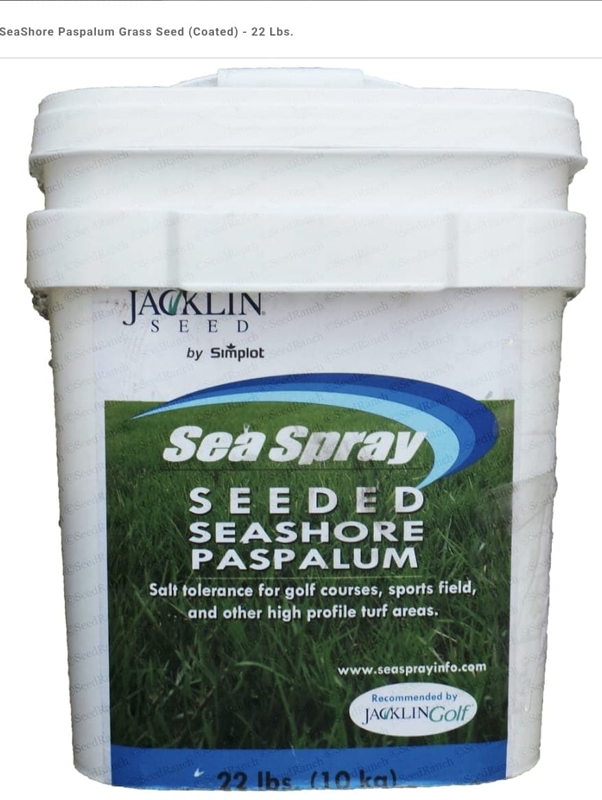 Seashore Paspalum Grass Seeds