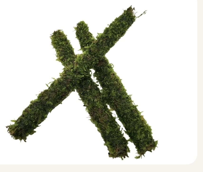 Moss sticks