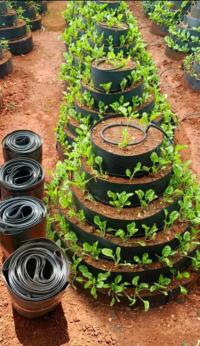 Multistorey Gardens (Sack / Tower Gardens) 1