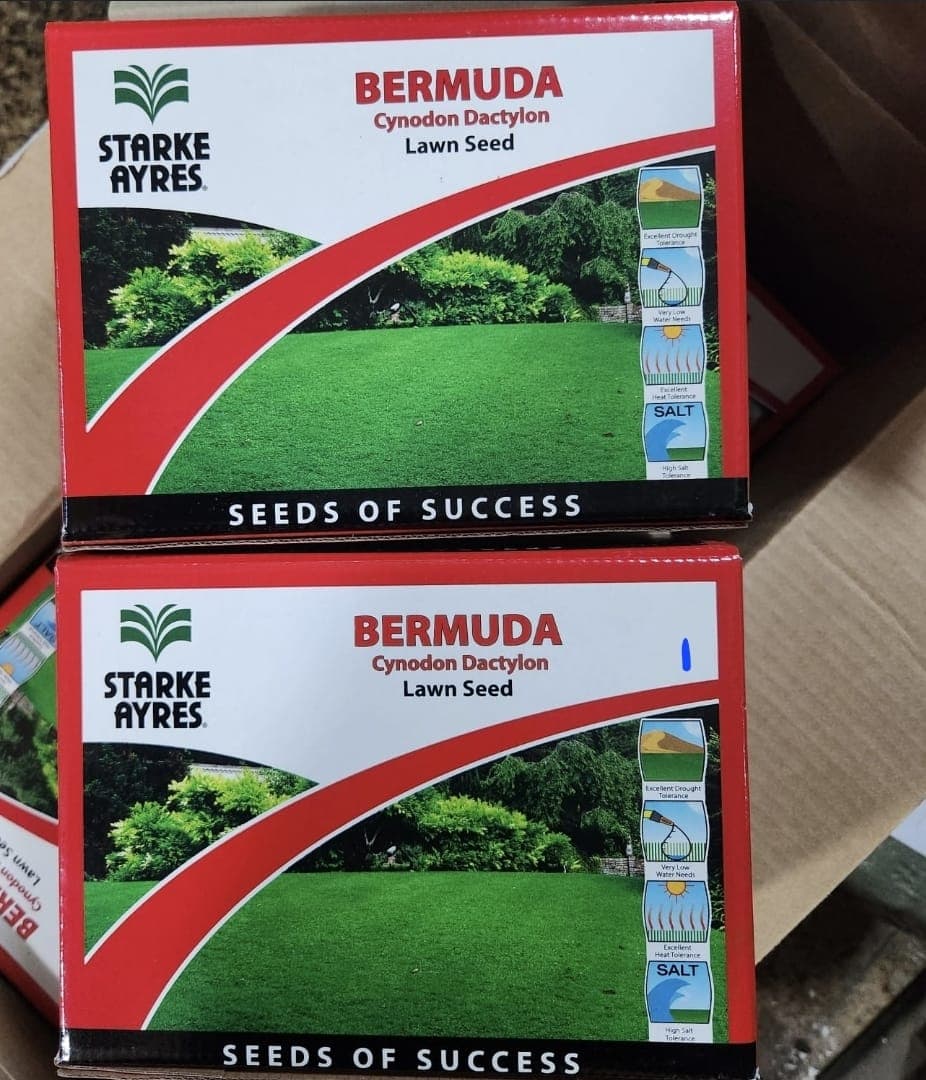 Bermuda Grass Seeds – Cynodon dactylon 1