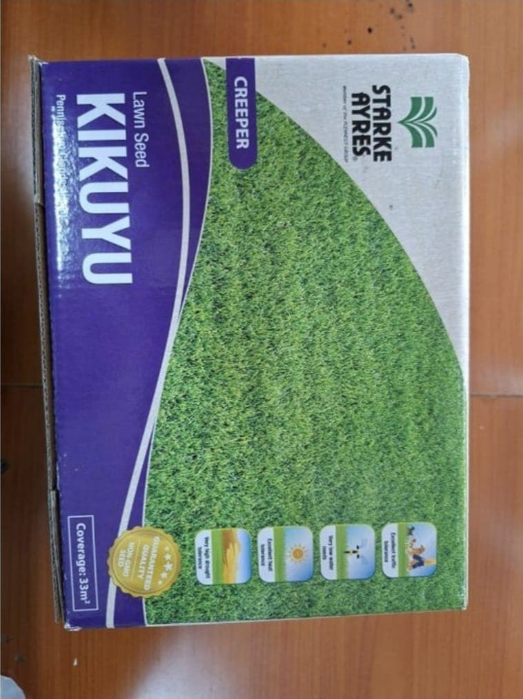 Kikuyu Grass Seeds 1