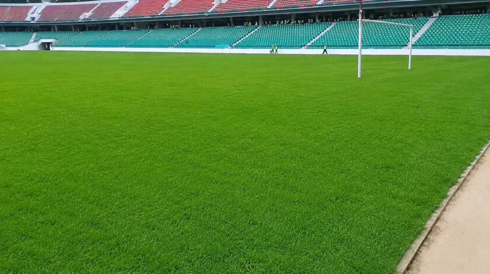 Bermuda Grass 1