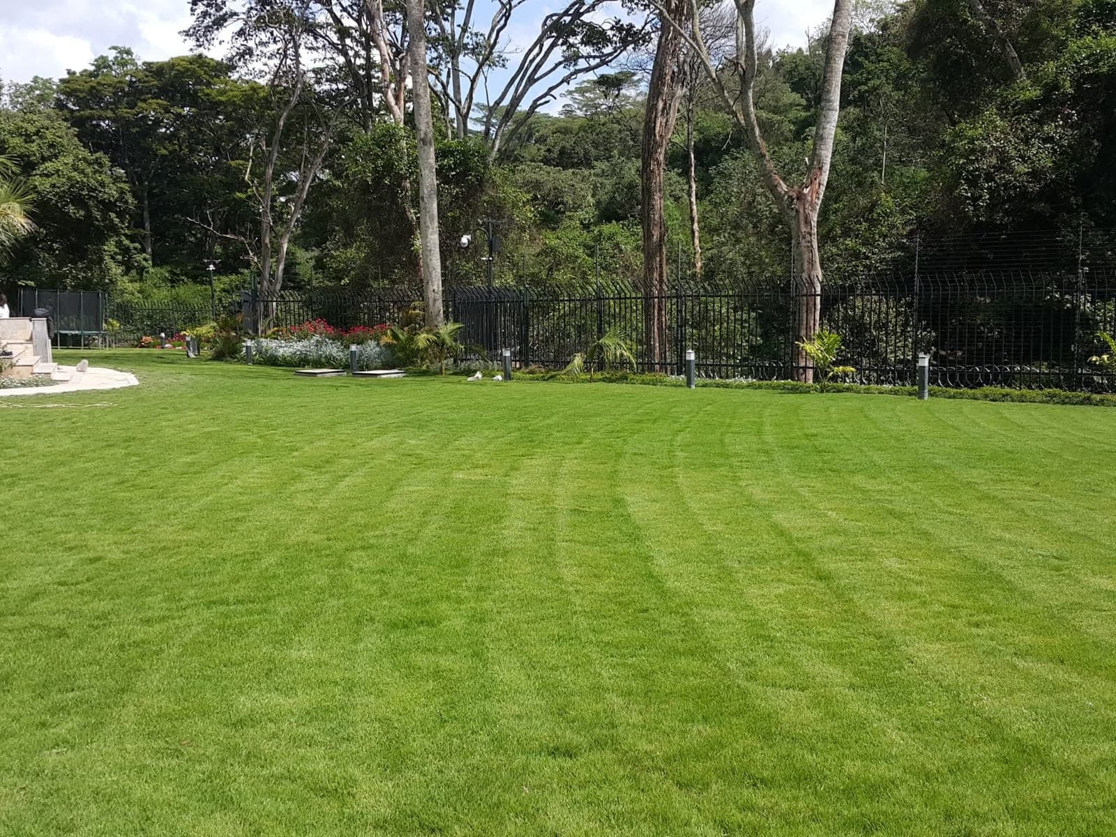Cape Royal Grass 1