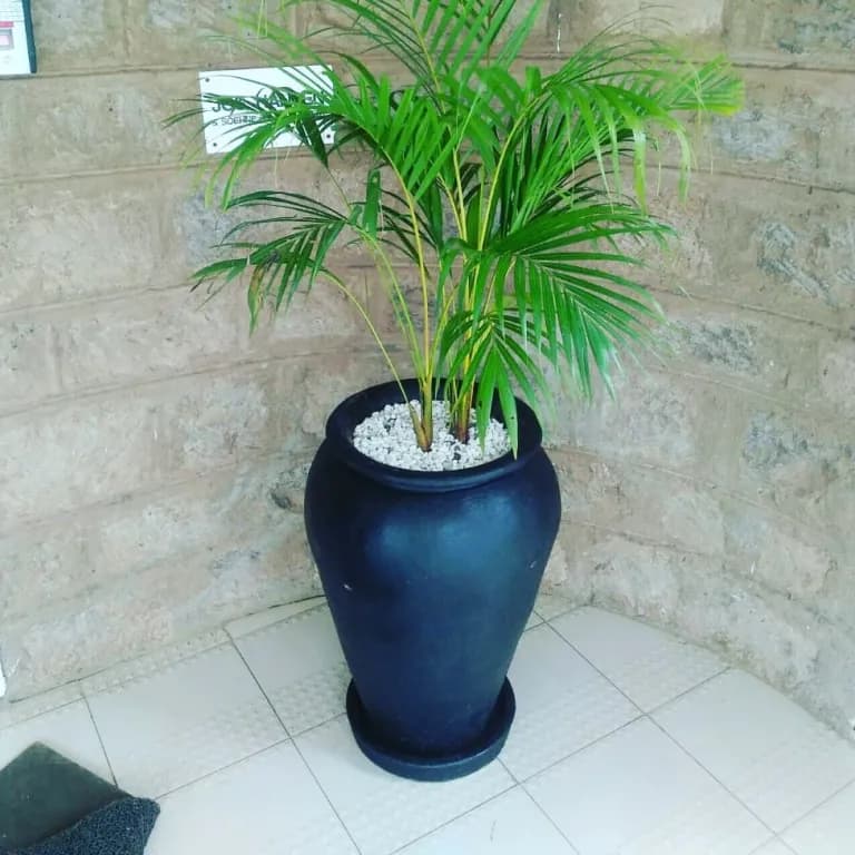 Contemporary Stone Cast Planter 1