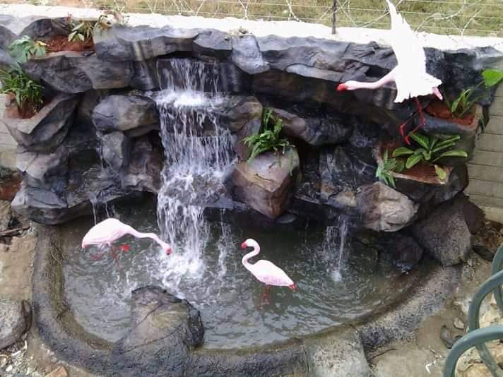Fountain project