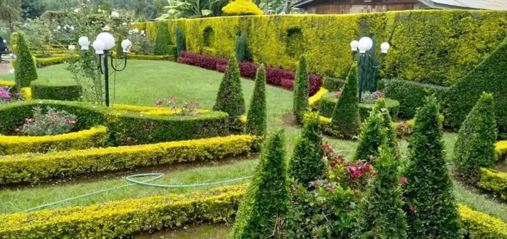 Garden beds