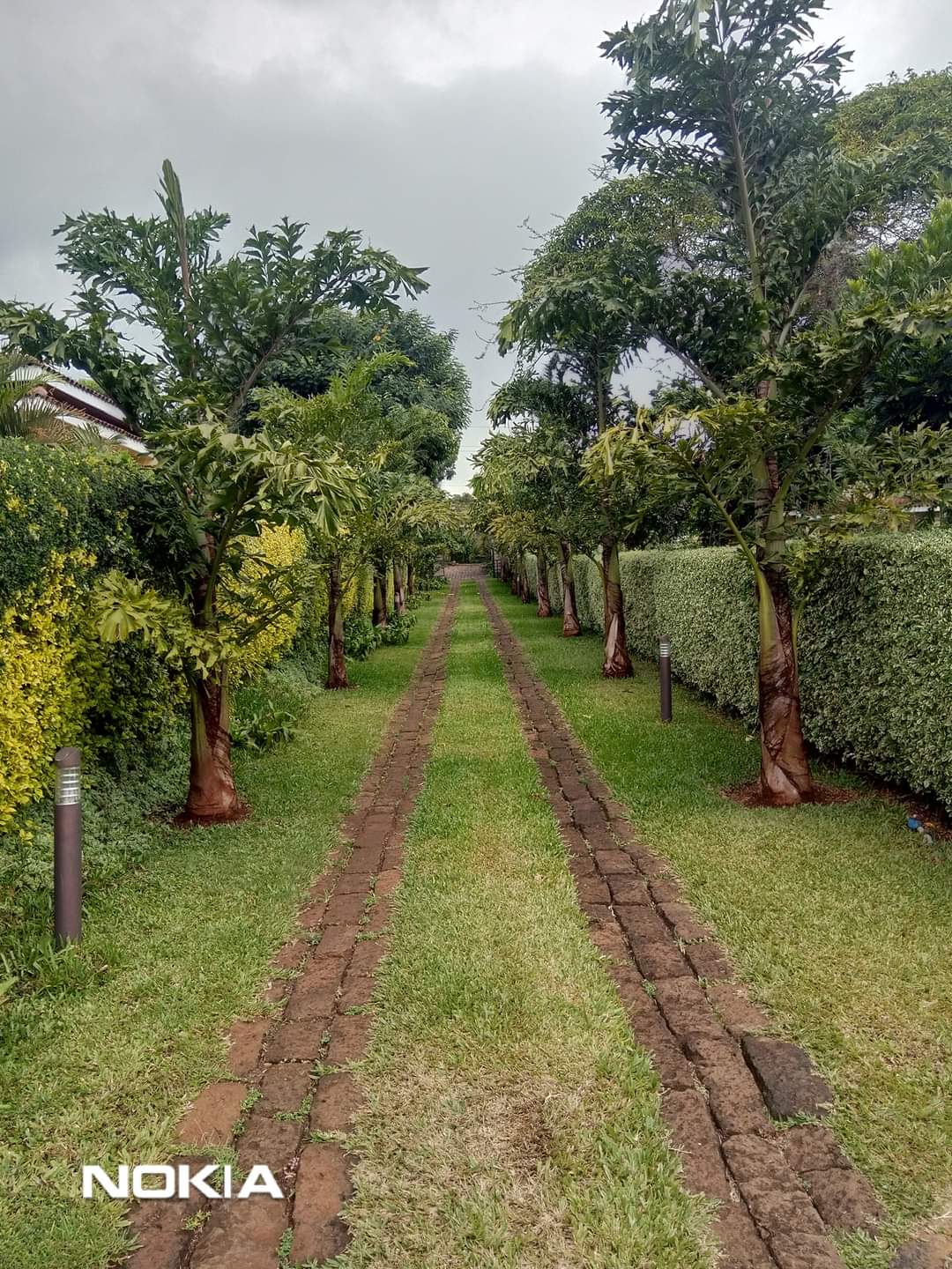 Mowing and Hedging